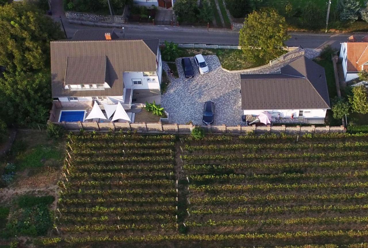 Szabo Vendeghaz Hotell Villány Exteriör bild