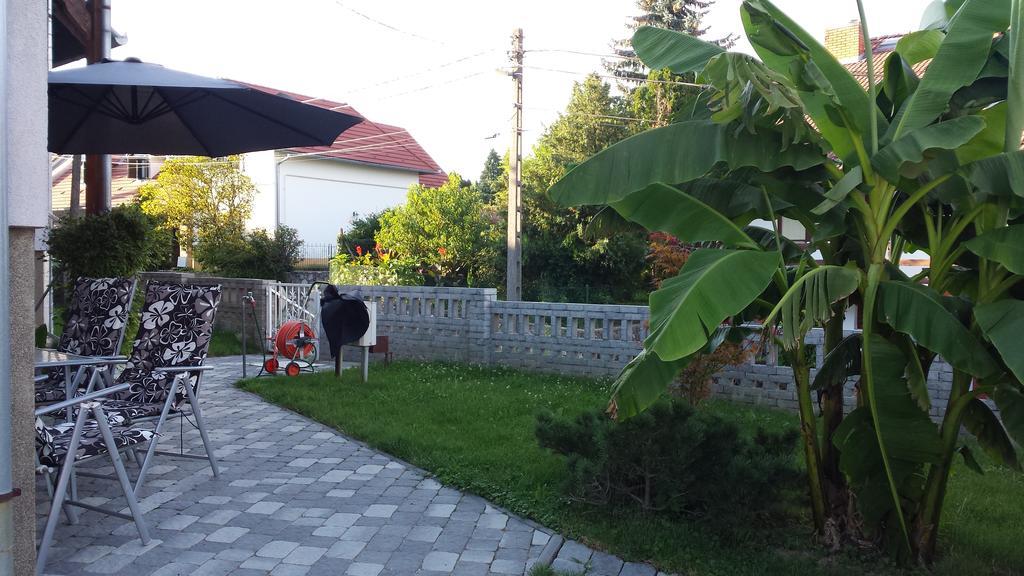 Szabo Vendeghaz Hotell Villány Exteriör bild